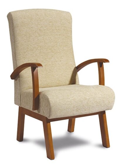 Sillón modelo 100 -BO