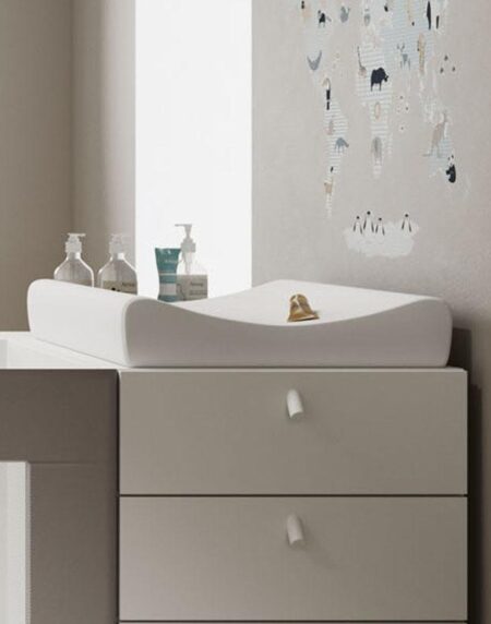 Cambiador para módulo